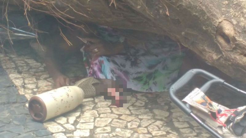 Árvore cai na Tancredo Neves e mulher morre