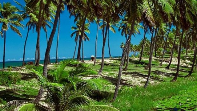 Criança morre afogada em piscina na Costa do Sauípe