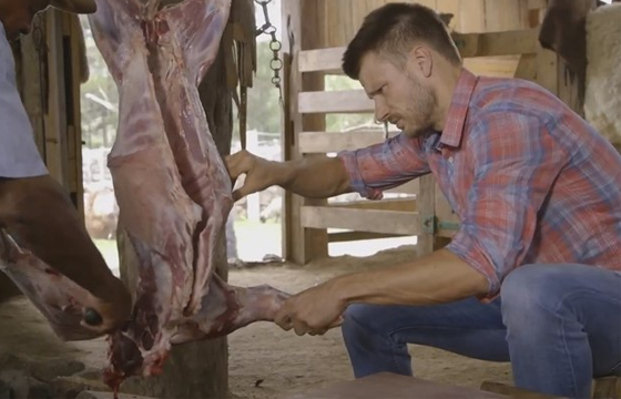 Após matar filhote de ovelha em programa, Rodrigo Hilbert perde contratos publicitários