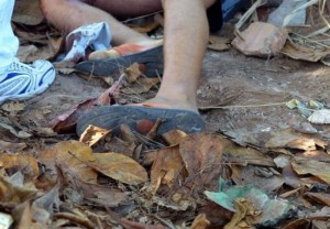 Salvador, RMS e Ilha registram 15 homicídios no final de semana