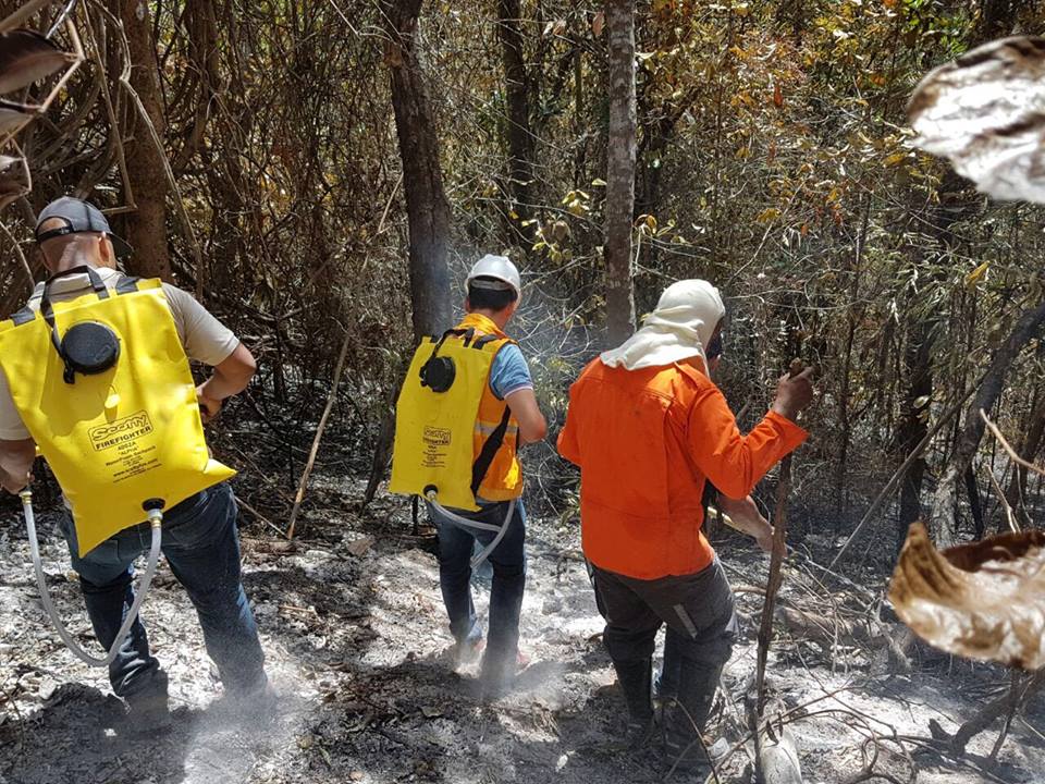 Madre de Deus: Incêndio florestal atinge região da Ilha de Maria Guarda