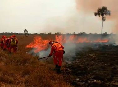 Bahia registra mais de 31 mil focos de incêndio no ano