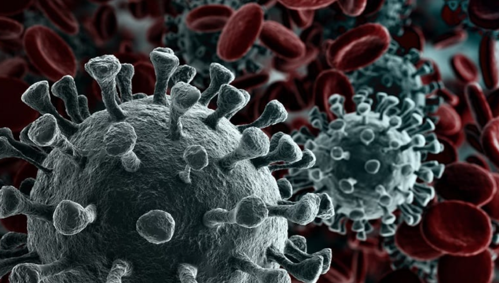 China diz que foi encontrado coronavírus em peixe congelado do Brasil