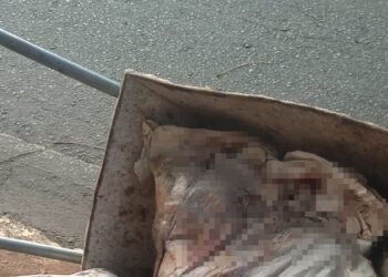 Corpo esquartejado é divido em sacos e abandonado na Avenida Bonocô, em Salvador