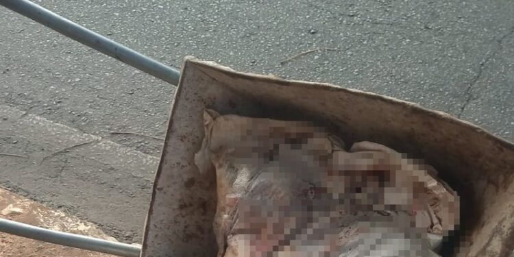 Corpo esquartejado é divido em sacos e abandonado na Avenida Bonocô, em Salvador