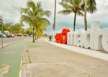 Acelen contrata estudo para preservação da última área florestal de Madre de Deus