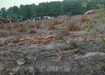 Membros do MST invadem empresa de papel e celulose no extremo-sul da Bahia