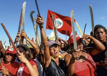 MST invade 800 hectares de terra em Pernambuco e aterroriza produtores