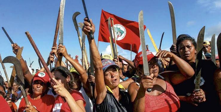 MST invade 800 hectares de terra em Pernambuco e aterroriza produtores