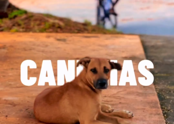 Candeiense cria videoclipe mostrando o dia a dia da cidade e viraliza nas redes sociais