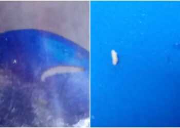 Alunos encontram larvas no almoço oferecido em escola estadual de Salvador