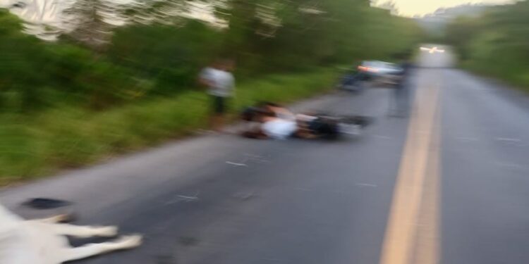 Moto colide com três animais na BA-523 e mata jovem