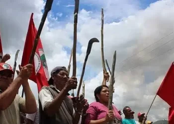URGENTE: MST ocupa fazenda no sul da Bahia