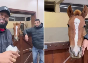 Veterinário diz que Janja queria que resgate de Caramelo esperasse sua chegada