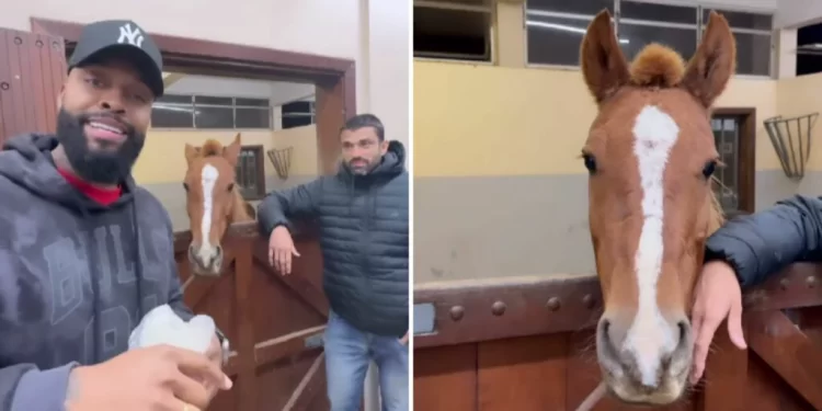 Veterinário diz que Janja queria que resgate de Caramelo esperasse sua chegada