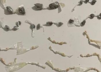 Três suspeitos de tráfico são presos com drogas em Madre de Deus neste domingo