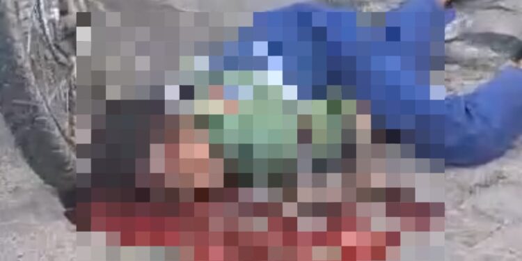 Funcionário da coleta de lixo é assassinado a tiros em Madre de Deus