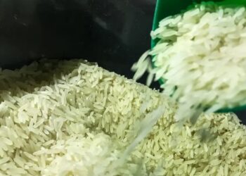 Leilão de arroz do governo foi vencido por loja de queijos e empresário que já confessou propina
