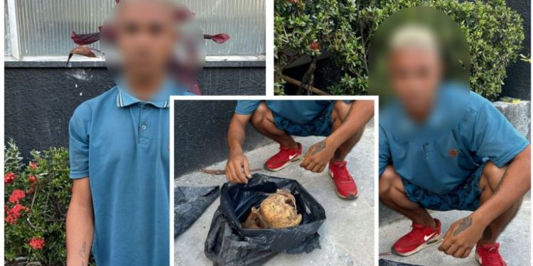 Homem é preso por violar sepulturas para rituais de magia negra em São Francisco do Conde