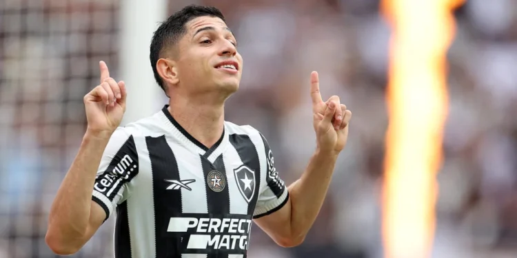 Tricampeão: Botafogo encerra jejum de 29 anos no Brasileirão