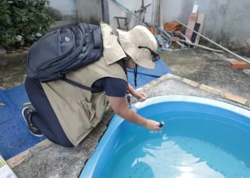 Dengue matou mais do que Covid-19 no Brasil