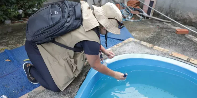 Dengue matou mais do que Covid-19 no Brasil