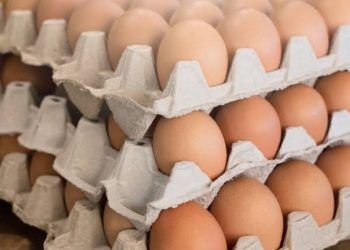 O Globo culpa calor pela alta do preço dos ovos; Malafaia rebate