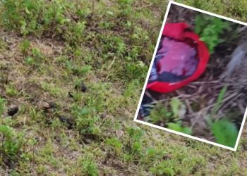 Homem é encontrado sem vida em São Sebastião do Passé