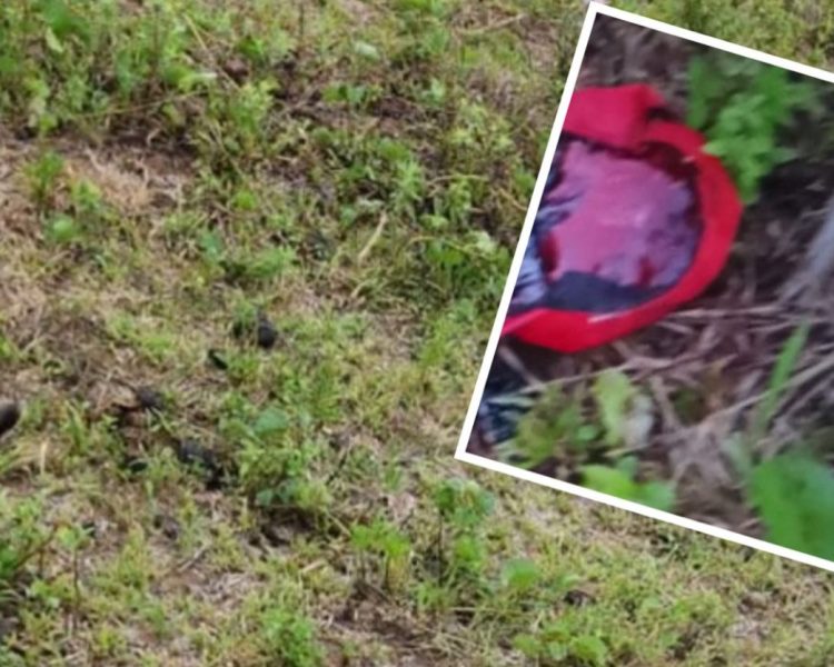 Homem é encontrado sem vida em São Sebastião do Passé