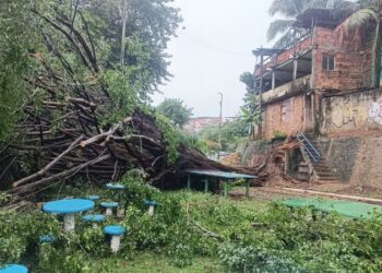 Chuva intensa em Salvador aciona sirenes e supera média histórica de maio; veja bairros mais atingidos