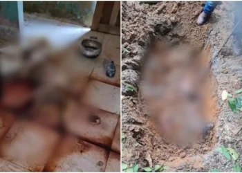 Corpo é encontrado enterrado em quintal no bairro de São Bento, em São Francisco do Conde