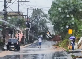 Árvore cai em Simões Filho, derruba escadaria e provoca explosão em fios de alta tensão