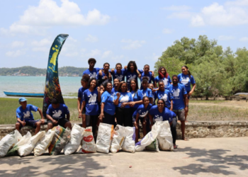 Projeto faz replantio de manguezais em comunidade quilombola de Candeias