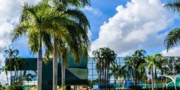 BOMBA! Tio de candidata ‘laranja’ confirma fraude à cota de gênero em Candeias; ouça o áudio