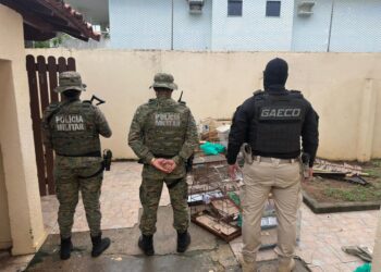 Operação deflagrada em cinco estados contra rede de tráfico de animais prende homem em Lauro de Freitas