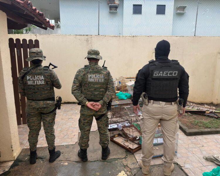 Operação deflagrada em cinco estados contra rede de tráfico de animais prende homem em Lauro de Freitas